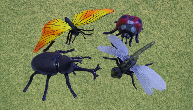 INSECTOS