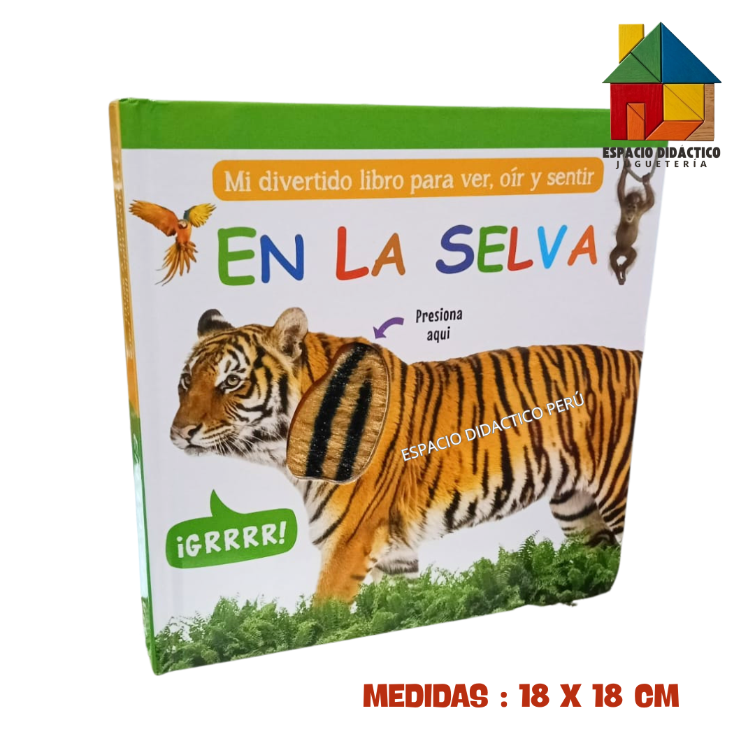 ESP-DIDAC (62)